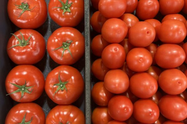 tomates cerise et potiron