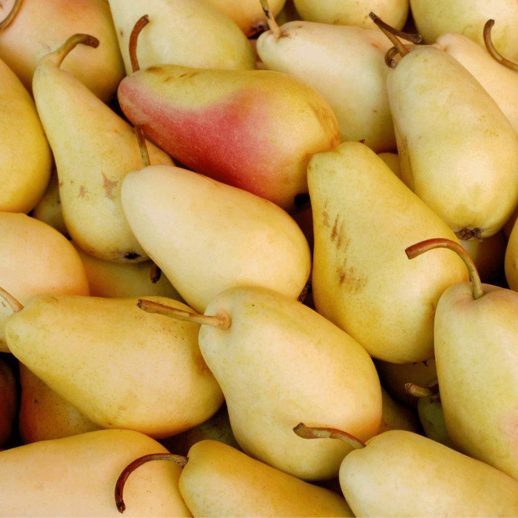 poires-cerise-et-potiron