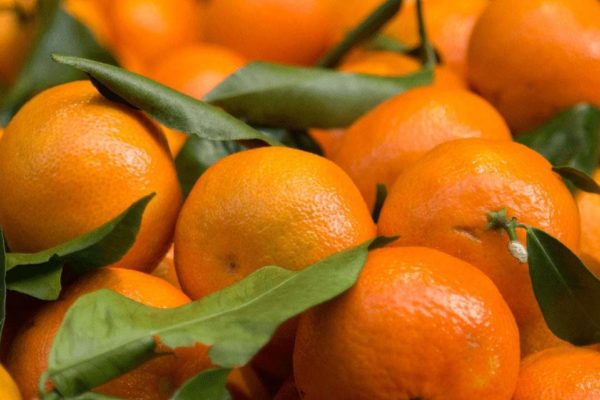 clementine