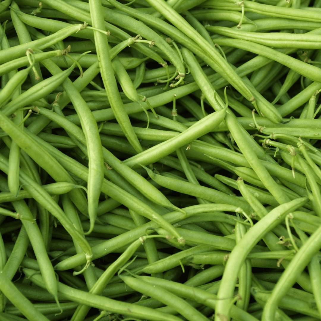 Haricot vert