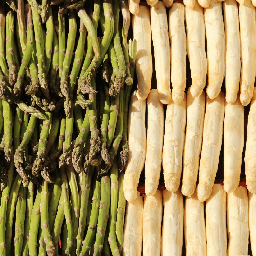 Asperge