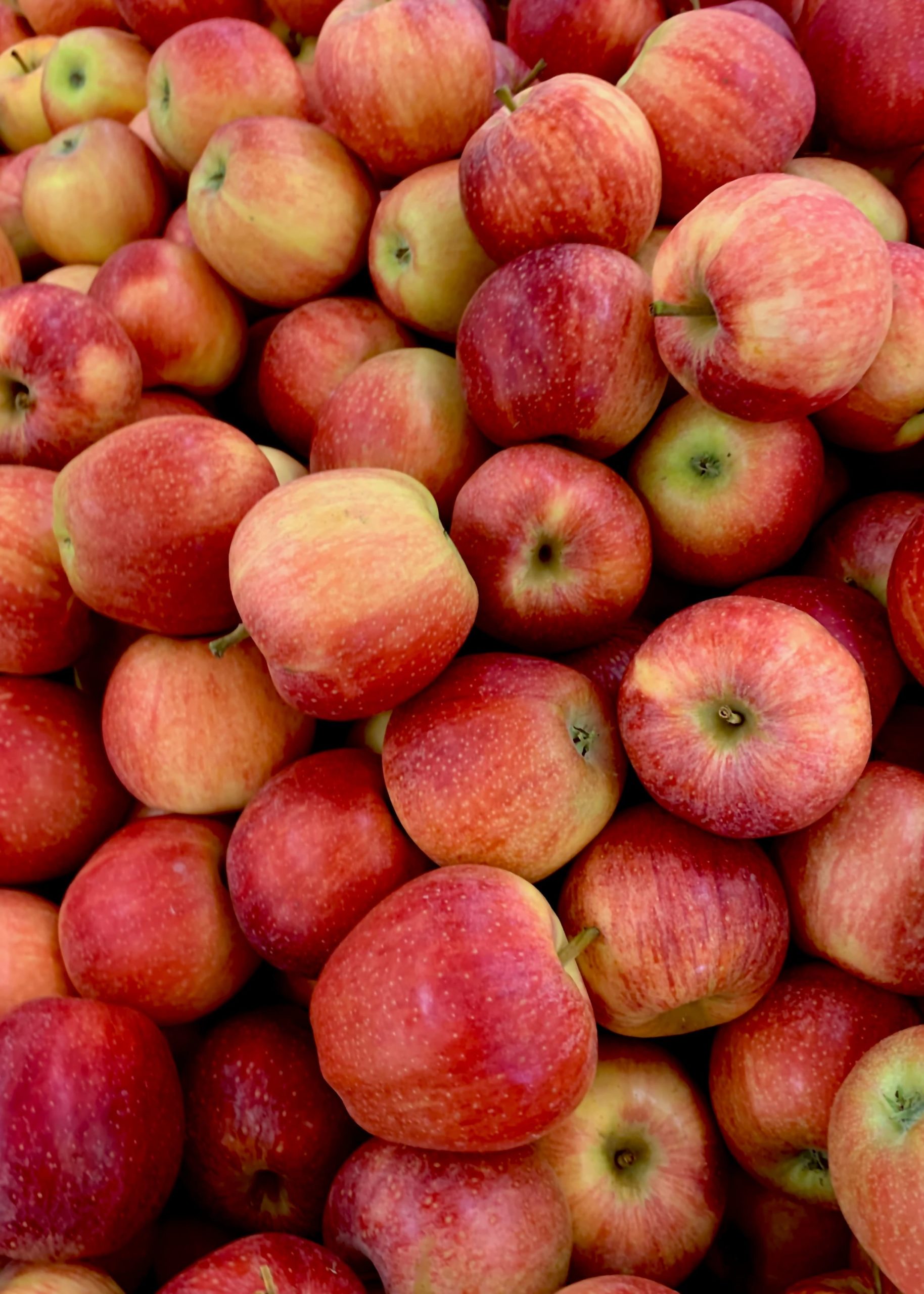 Une pomme à la richesse aromatique exceptionnelle