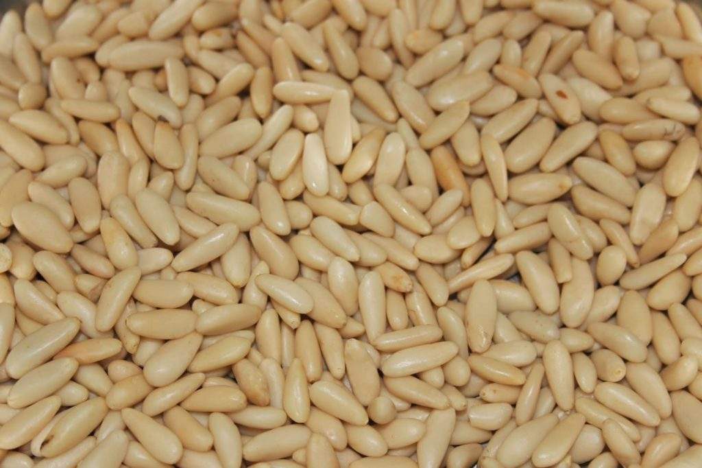 pignon de pin Epicerise