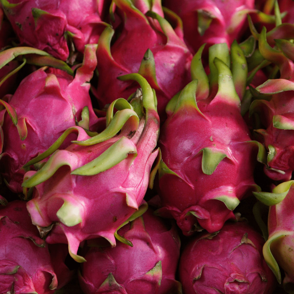 pitaya fruit exotique