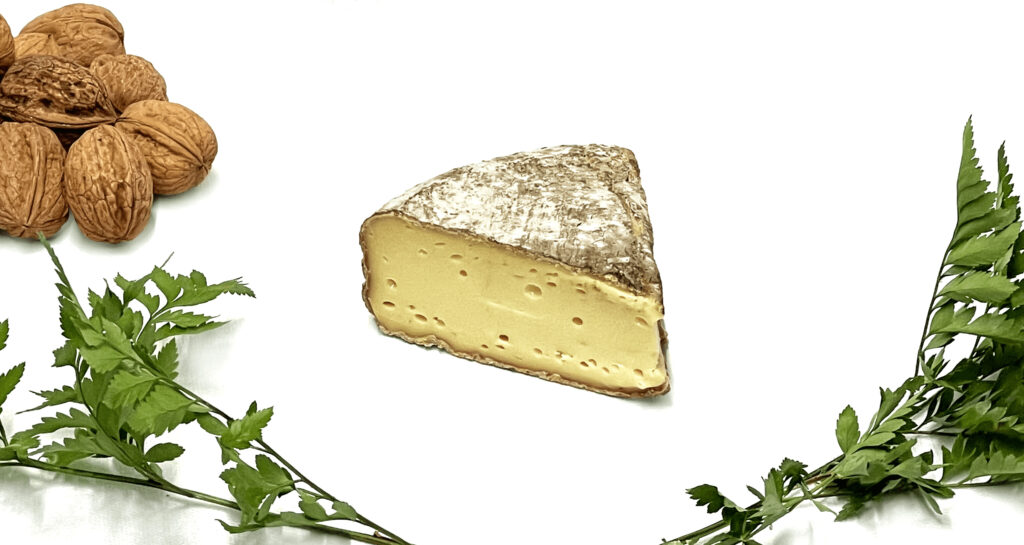 fromage tomme de savoie