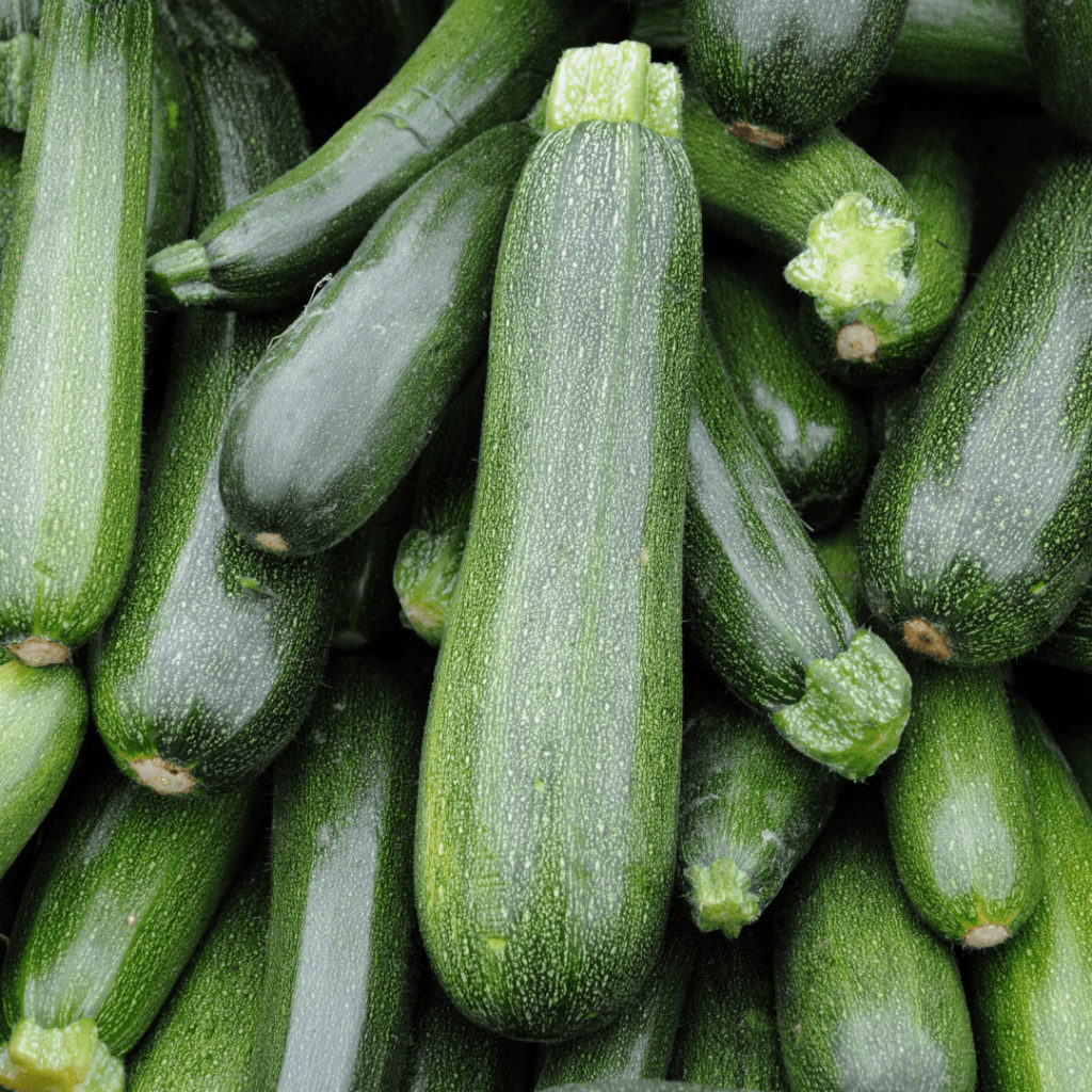 courgettes