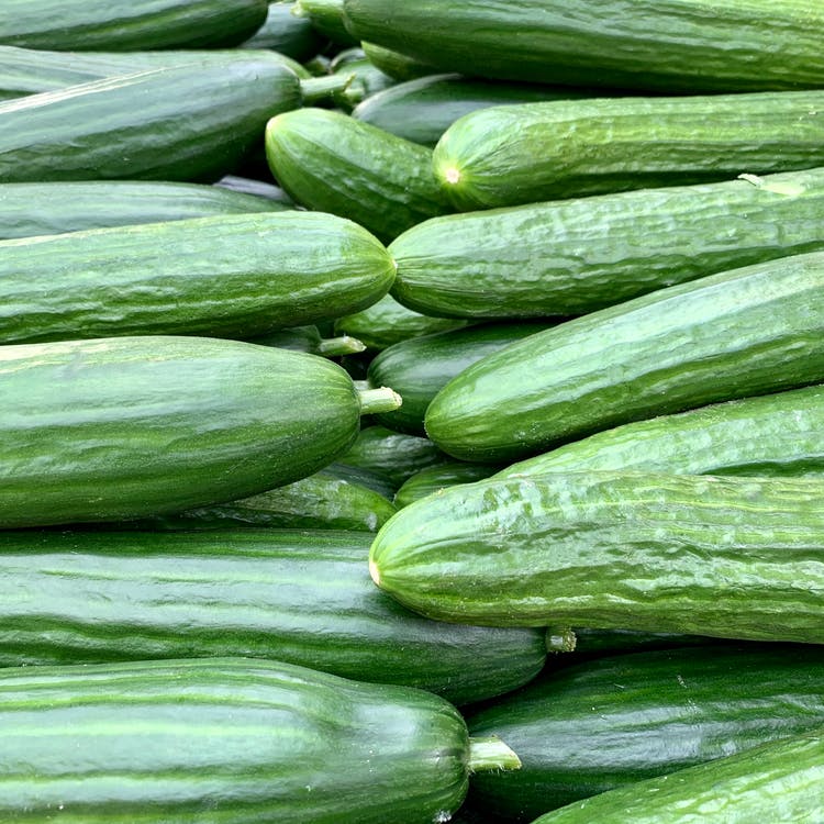 Concombre