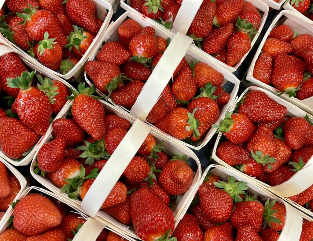 fraises cerise et potiron