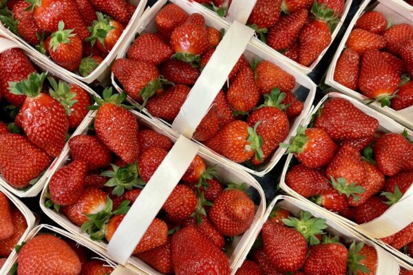 fraises cerise et potiron