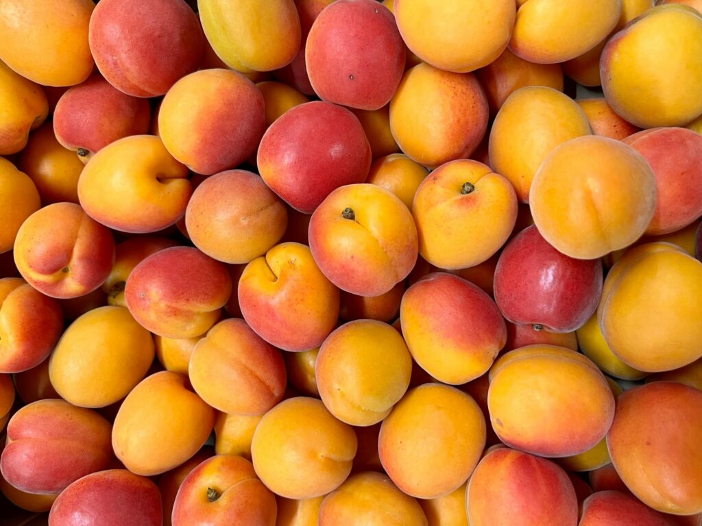 abricots france cerise et potiron