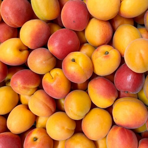 abricots france cerise et potiron