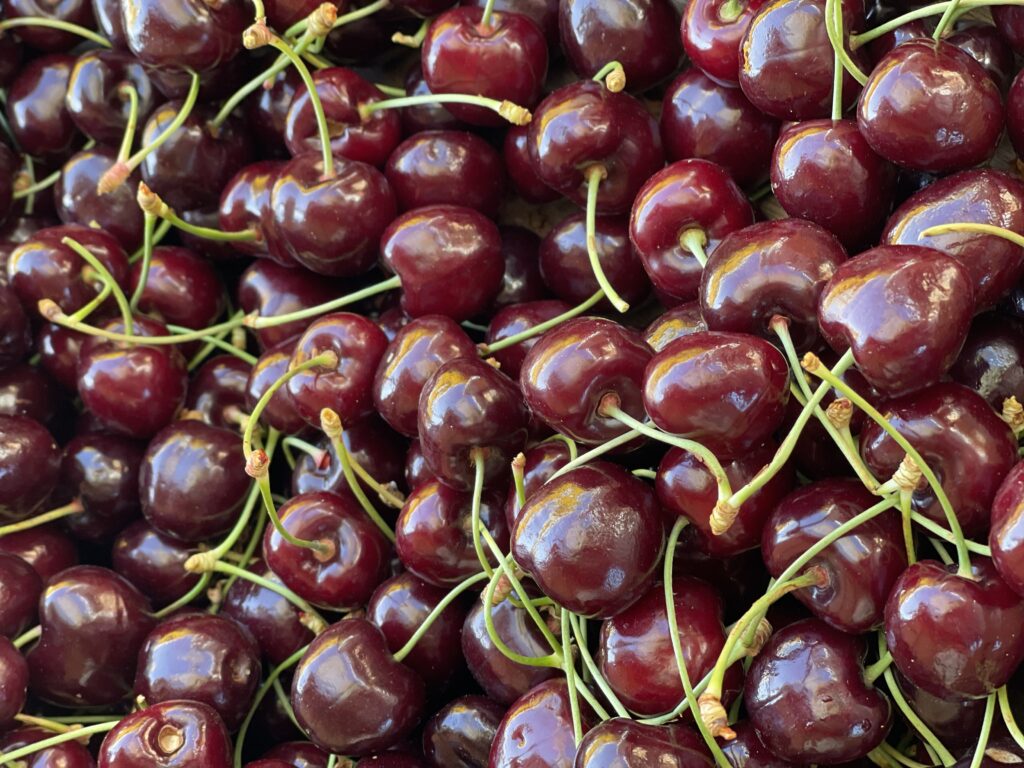 cerises fruits producteur