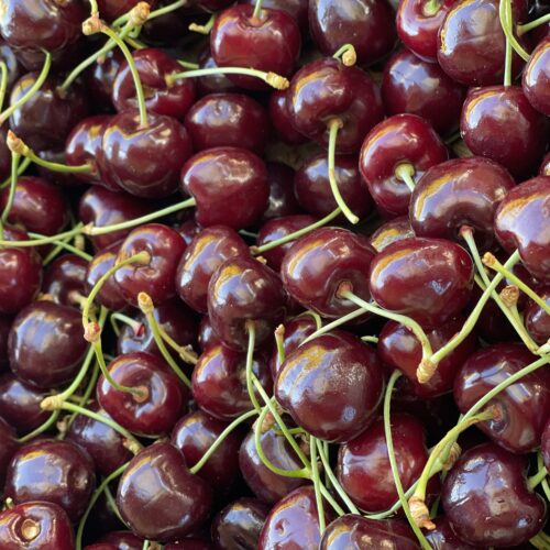 cerises fruits producteur