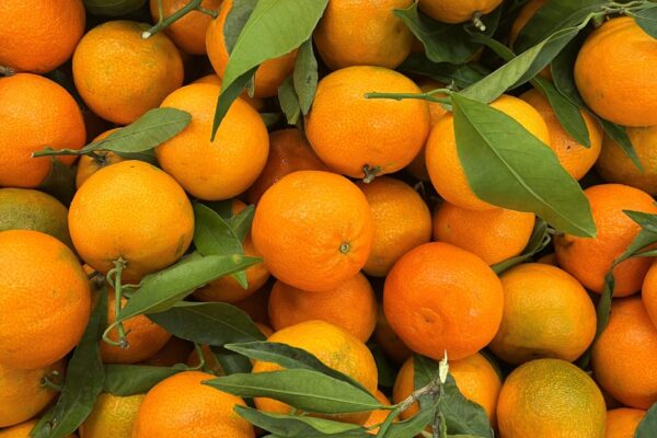 clementine corse cerise et potiron