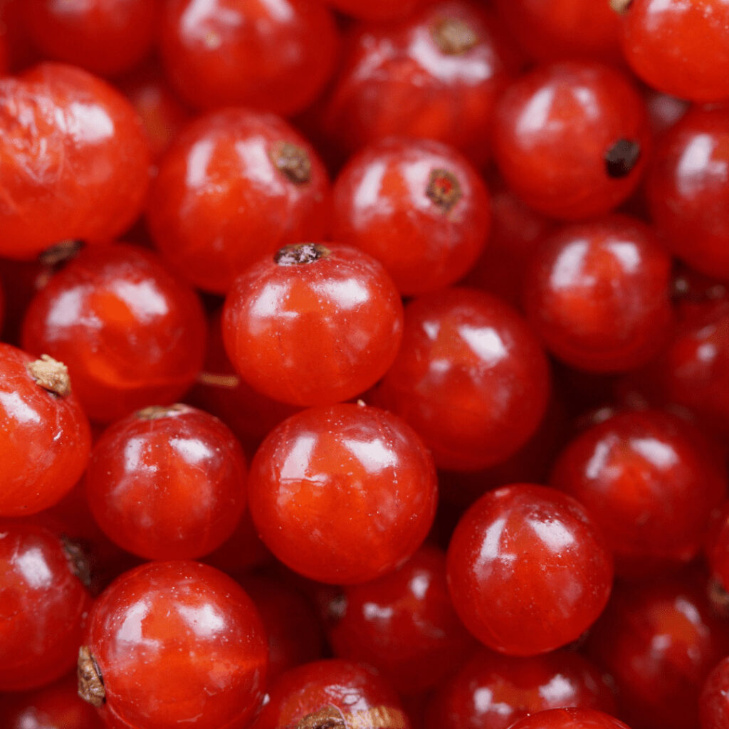 les groseilles fruits