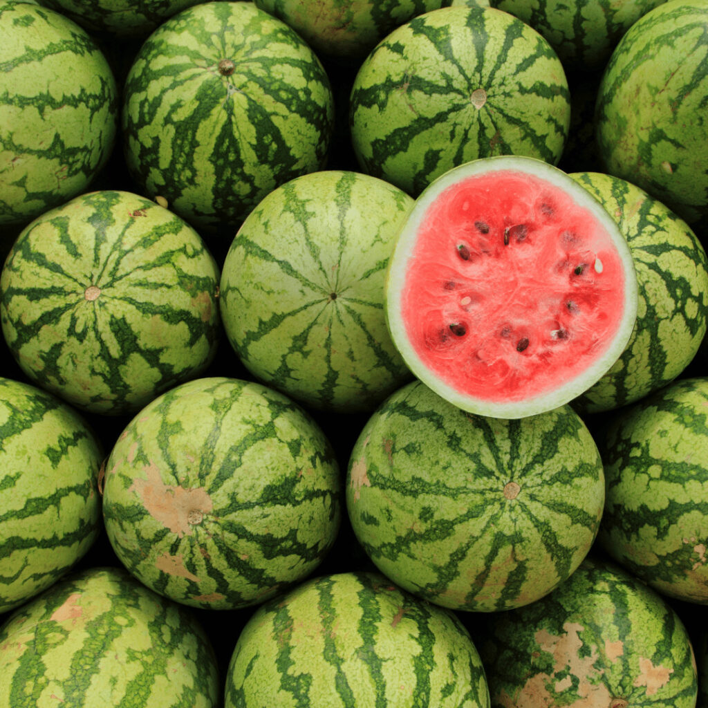 pastèque
