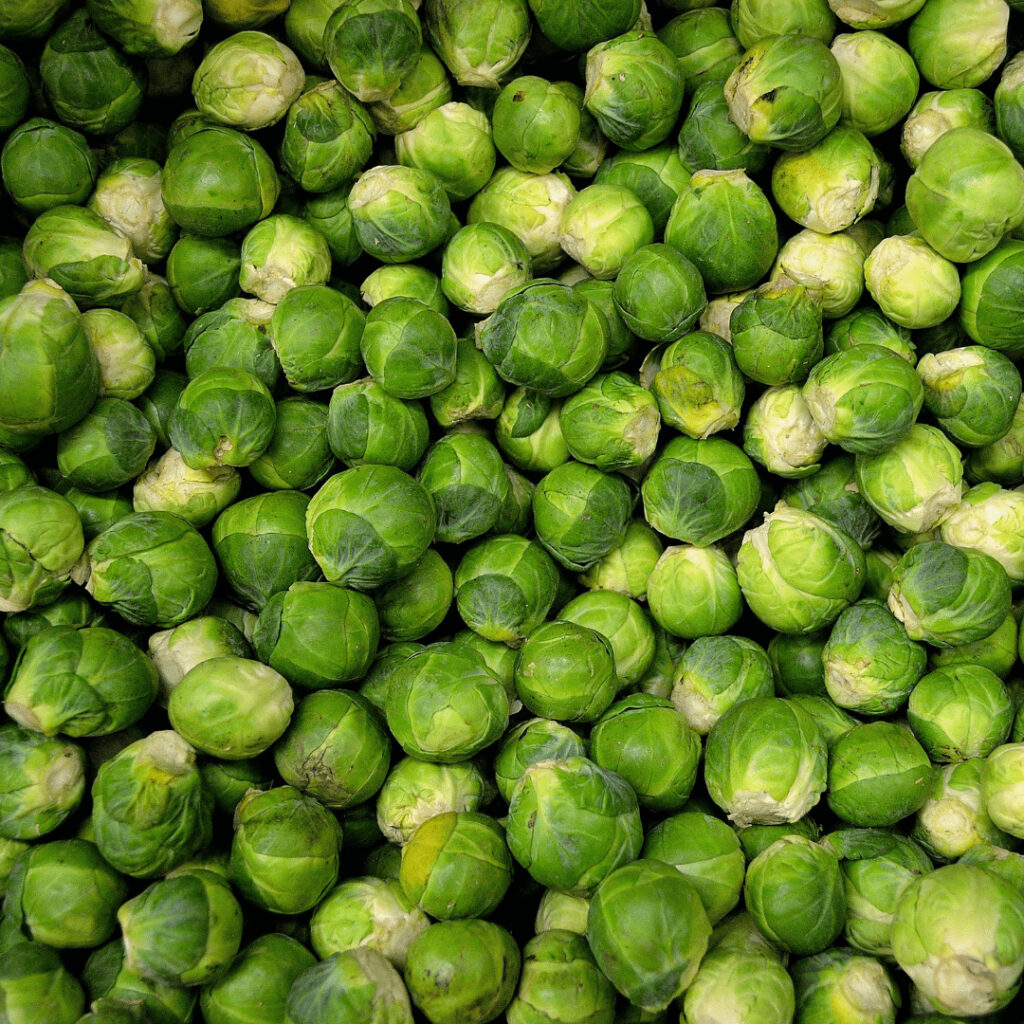 chou de Bruxelles