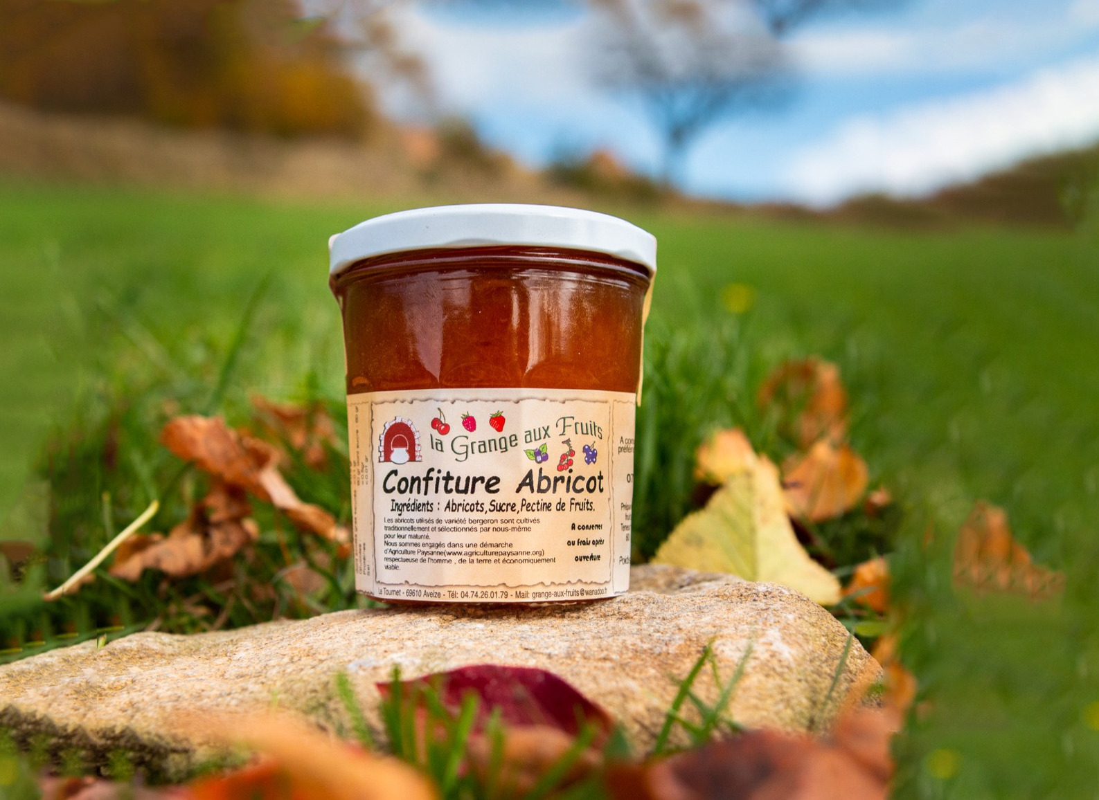confiture grange aux fruits