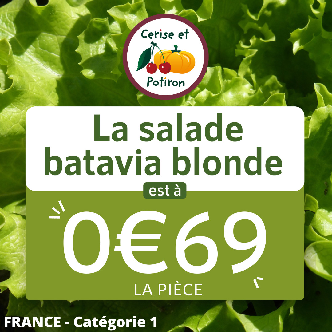 promotion salade batavia 0€69 la pièce