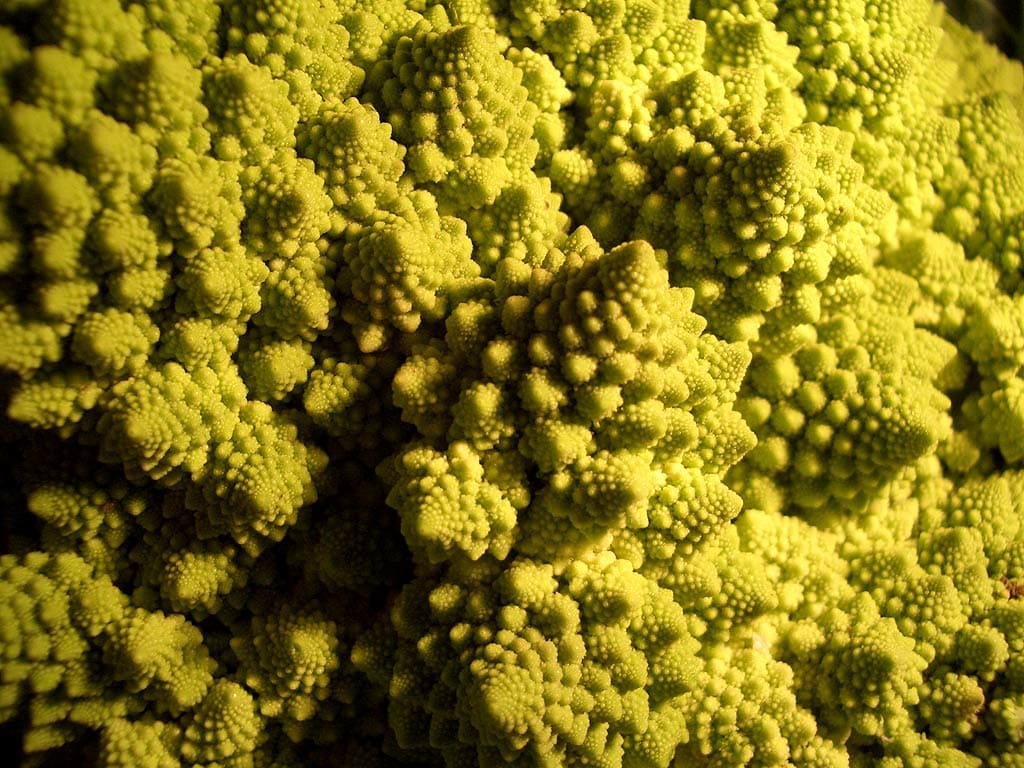 Chou romanesco