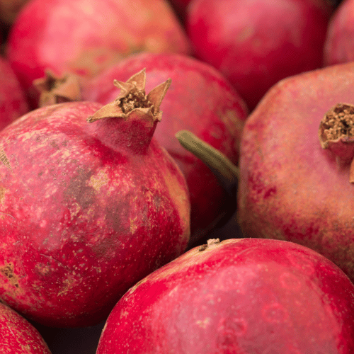 Faisselle - Crèmerie - Cerise et Potiron - Primeur Lyon