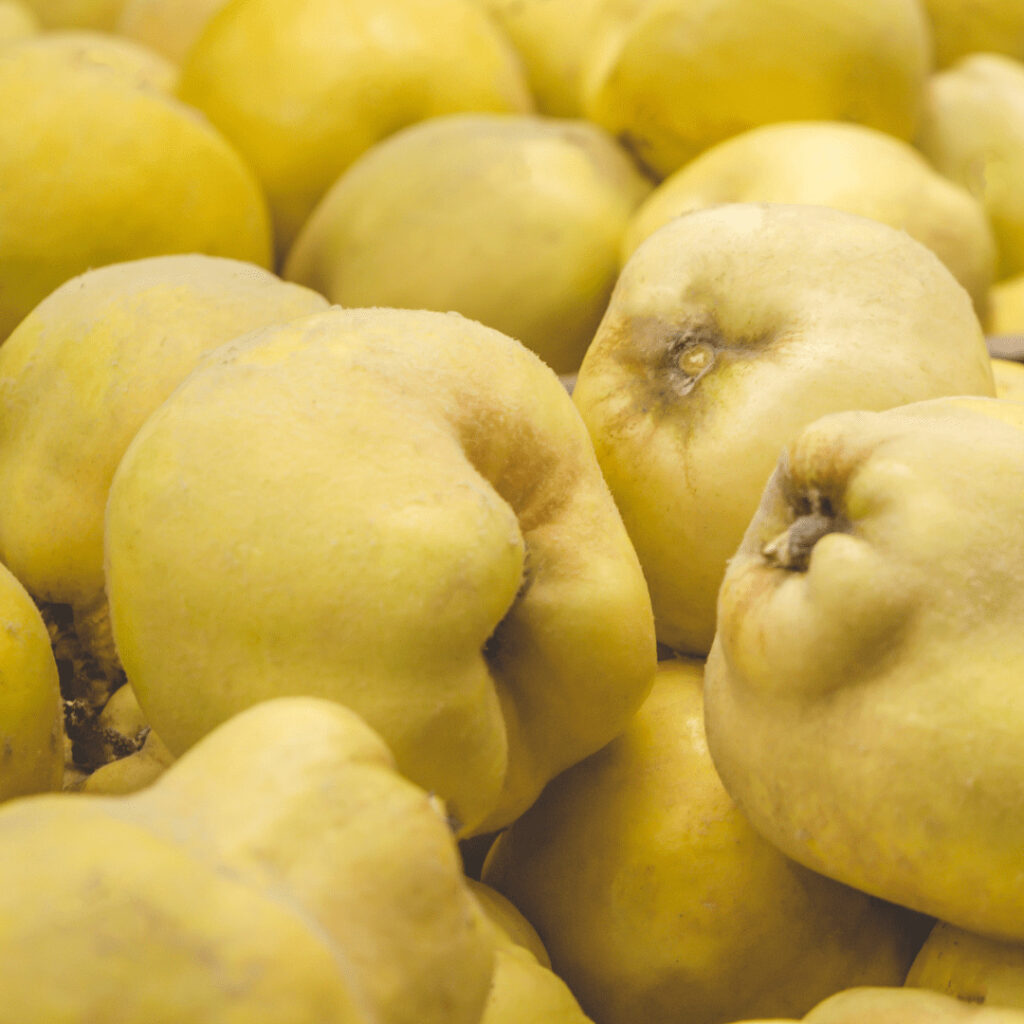 coing cerise et potiron