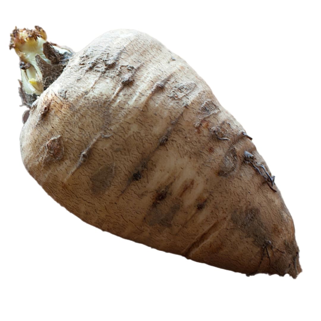 cerfeuil tubéreux cerise et potiron