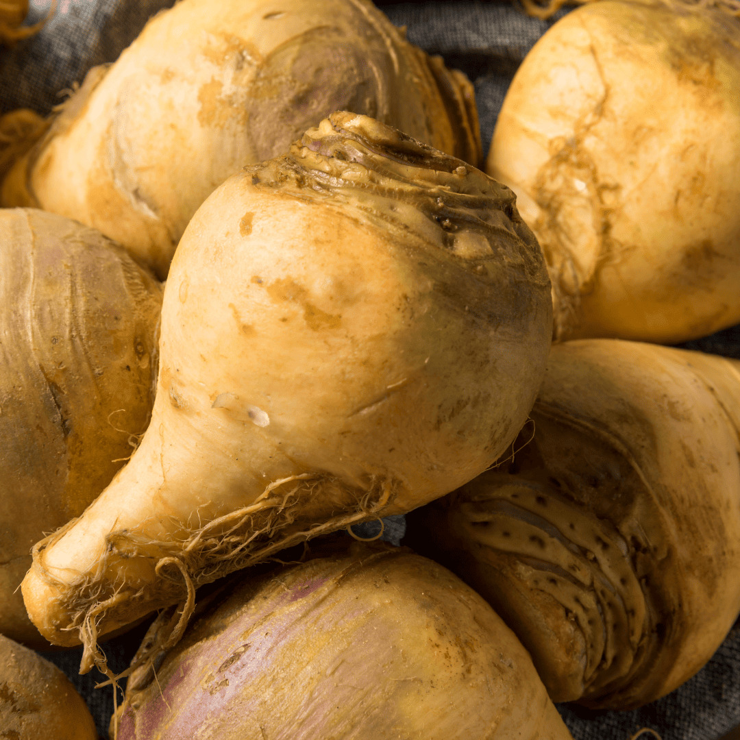 rutabaga cerise et potiron