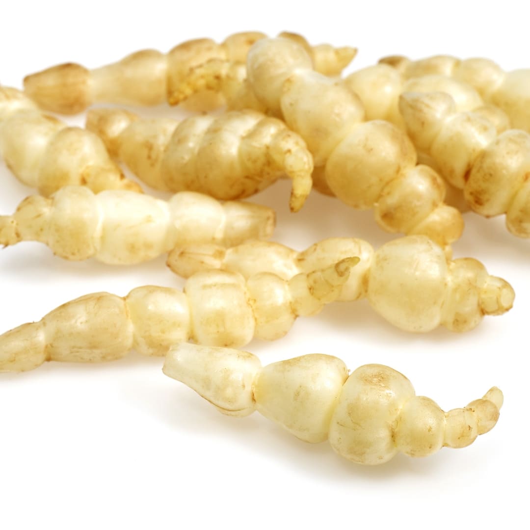 crosne cerise et potiron