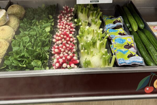 D062D700-11C2-470E-B4FC-71953468FFA4_1_201_a