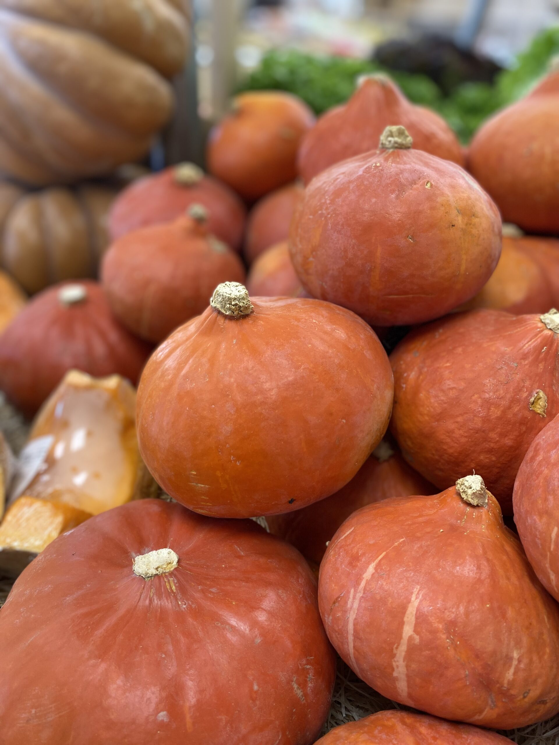 Horaires de la Toussaint